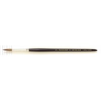 REMBRANDT ugʉM110 sAbhZ[u/Eh T909-110-09(9) 494846 (8031bg)