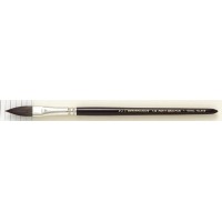 REMBRANDT ugʉM132 X/I[o  T909-132-02(2) 495460 (8050bg)