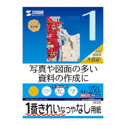 CNWFbgpX[p[t@CpA4TCY250@JP-EM5NA4-250