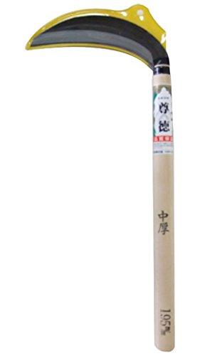  ېV |195x360#510080@#510080