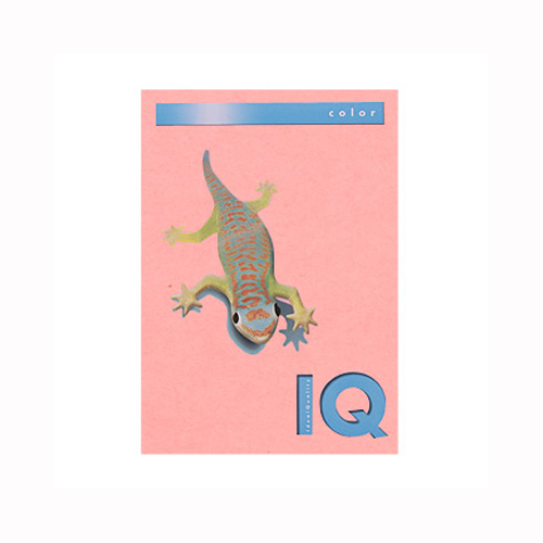 oCIgbvJ[`SiTOOj (BT504 ݸ)