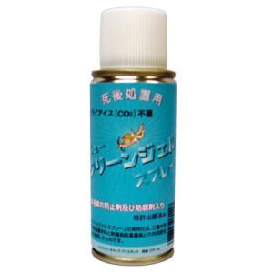 ニュークリーンジェルスプレー 50ML