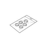 NE-C30 GAtB^Zbg NE-C30-4 1