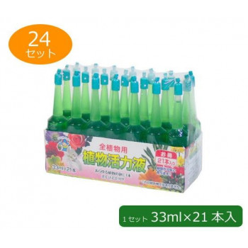 | SAp A͉t(Av) 33ml~21{ 24Zbg (1058135)