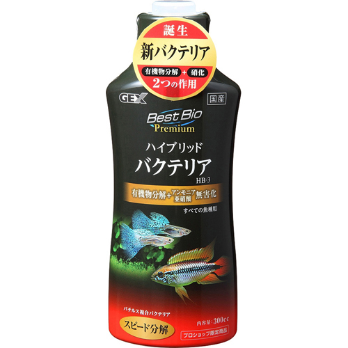 xXgnCubhoCIv~A@nCubhoNeAHB-3@300cc  1{