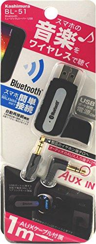 Bluetooth ~[WbNV[o