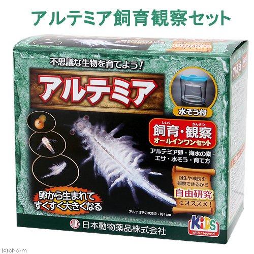 Ecjoy ニチドウ アルテミア飼育観察セット 特価 1 2