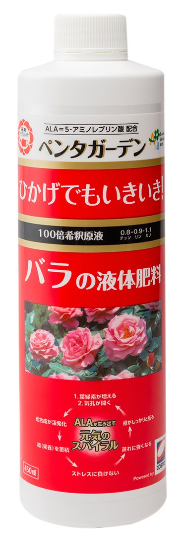 y^K[f ỏt̔엿 450ml