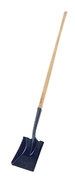 171FG Dnh Vx 50487 1