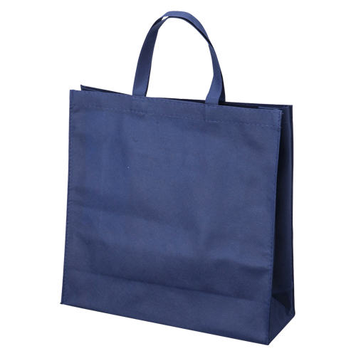 �s�D�z�o�b�O�}�`�t ��10�� �_�[�N�u FBH-33DB