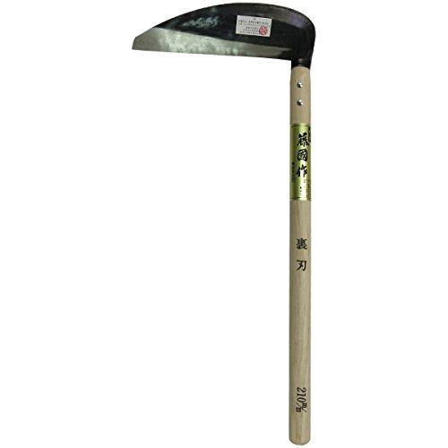 勴؍H  n 210mm