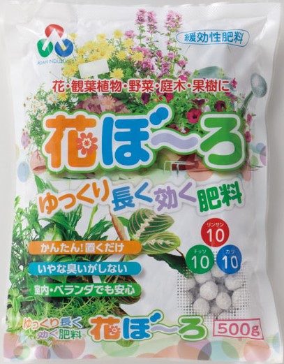 蒷엿 Ԃځ` 500g