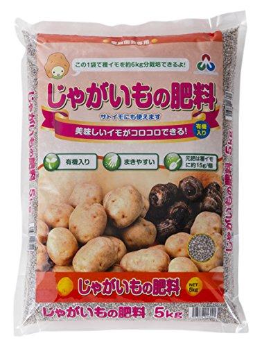 Ⴊ̔엿 5kg
