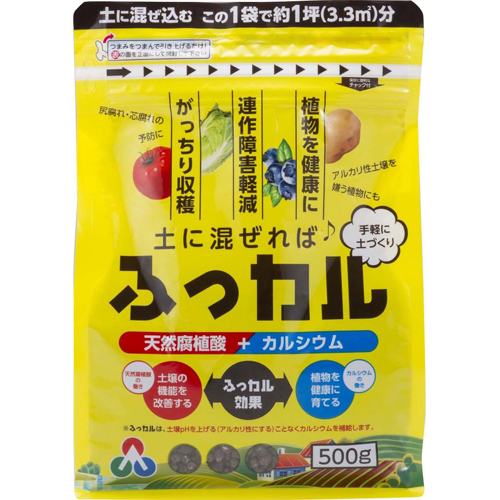 ӂJ 500g