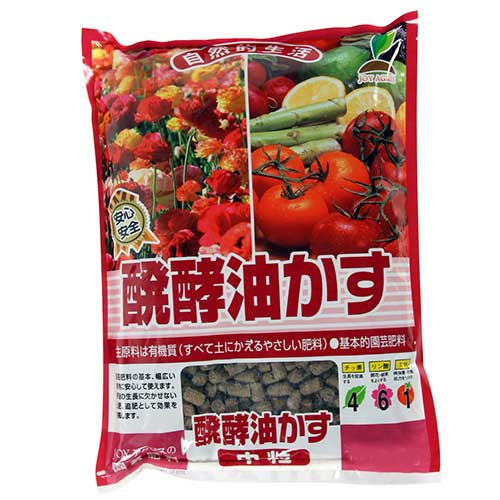 y() 500g