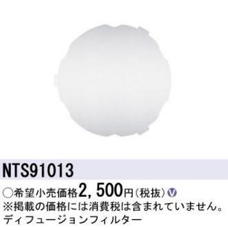 fBt[WtB^[   NTS91013