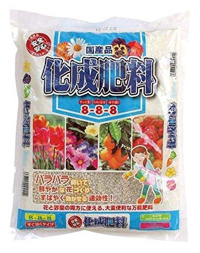 GS 엿 888 3kg