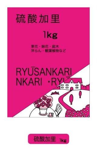 GS _ 1kg
