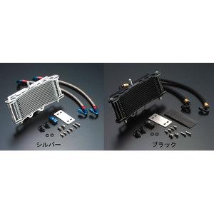ANeBu ACTIVE OILN[[Xe[SET(o) Eh #6 9-13R Z1000R/J 14057051