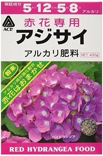 ԃAWTCp엿 400g