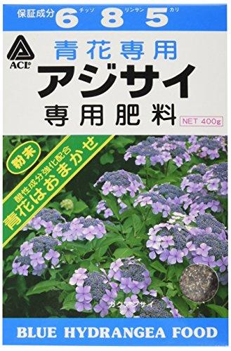 AWTCp엿 400g