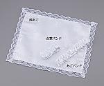 G[Zbg 炠18-1503-11