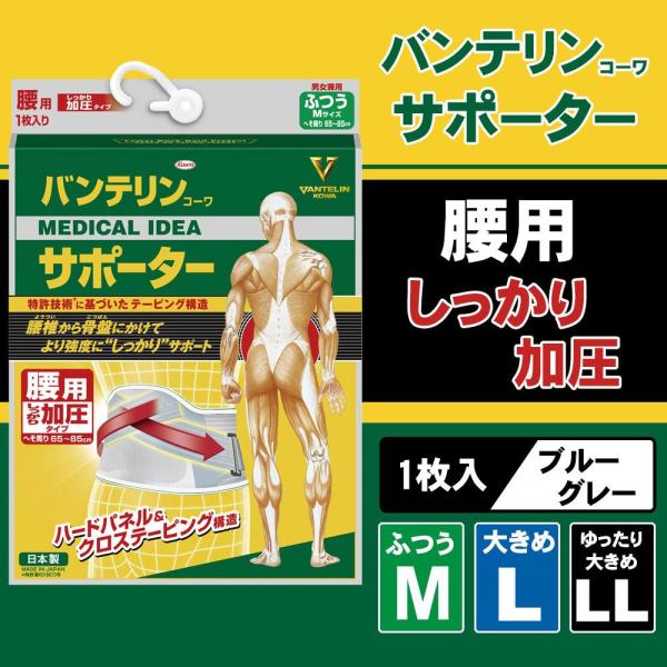 a(R[) oeR[T|[^[ p ^Cv jp u[O[ 傫(LLTCY) (1091963)