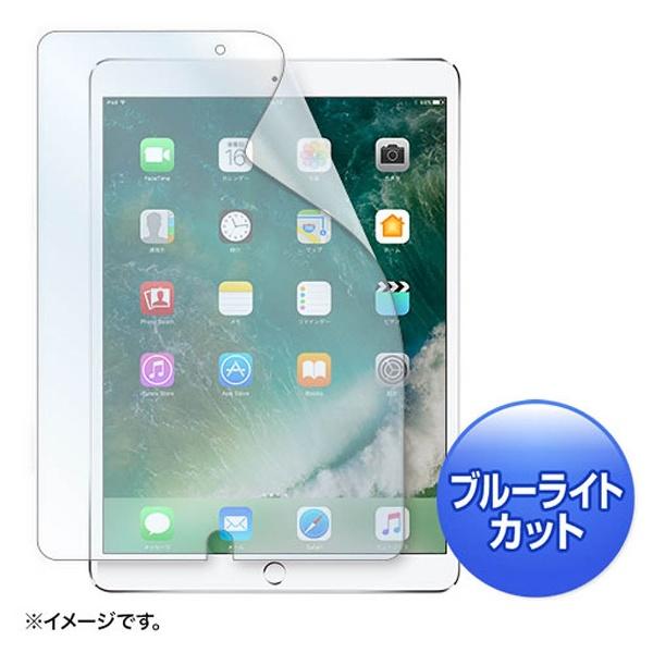 ECJOY!】 サンワサプライ Apple10.5インチiPadPro2017用ブルーライトカット液晶保護指紋反射防止フィルム  品番：LCD-IPAD9BCAR【特価￥2,914】
