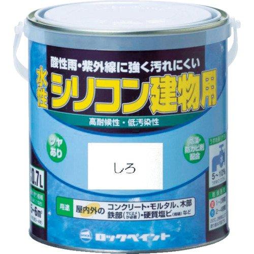 H1111566SbN VRp CG[ 1.6L8368989