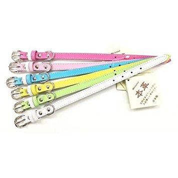 M1875WH}CX^[WU[J[#24