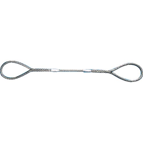 ＴＲＵＳＣＯ　Ｗスリング　Ａタイプワイヤーロープ　１０ｍｍ×２．５ｍ GR-10S2.5 1770021