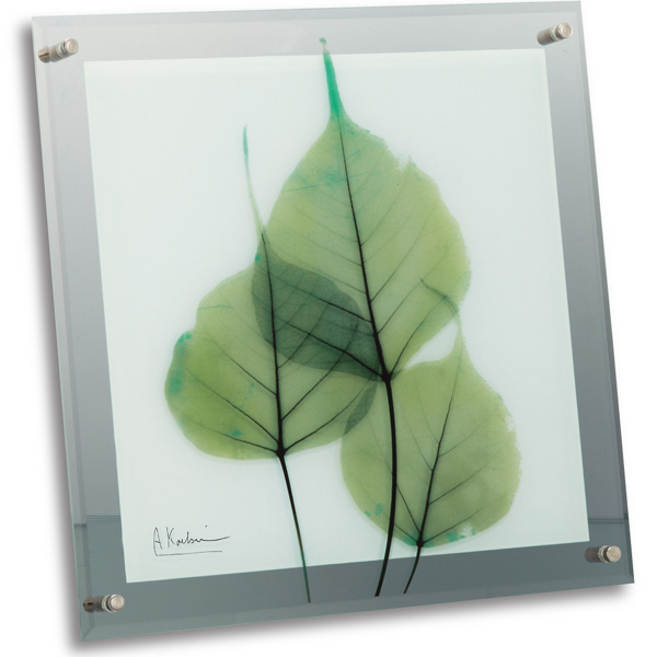 X RAY KX A[guO[ [J(MTCY)vyXR-05011z