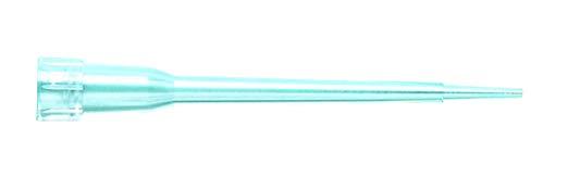 sybg`bv 10L 96{/bN~10bN ŋۍNCGL1404762-9800-05