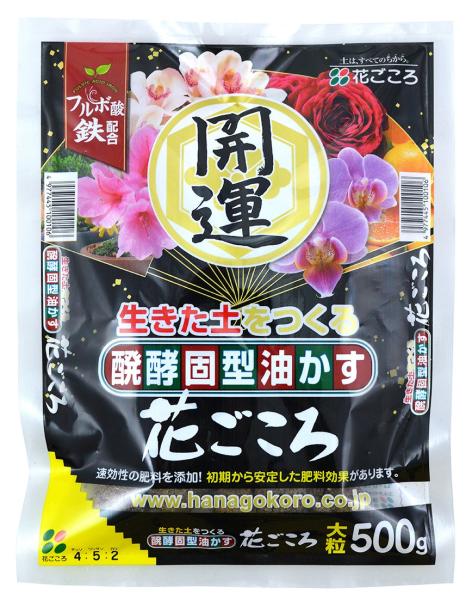 yŌ` Ԃ J^ 嗱 500g
