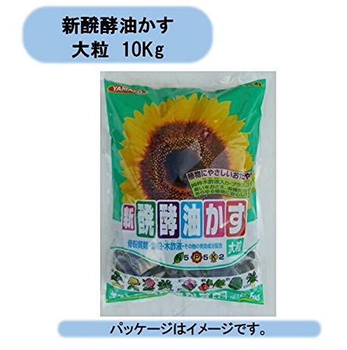 Vy 嗱 10kg