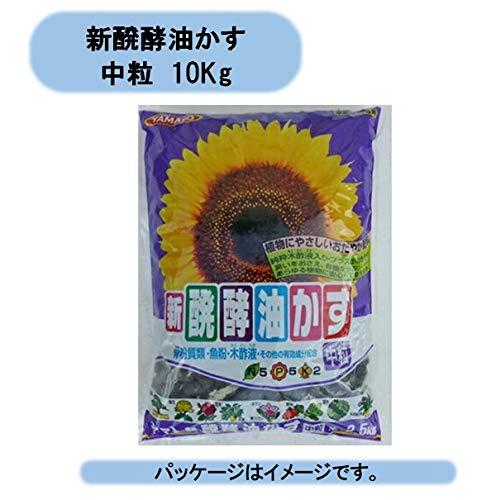 Vy  10kg