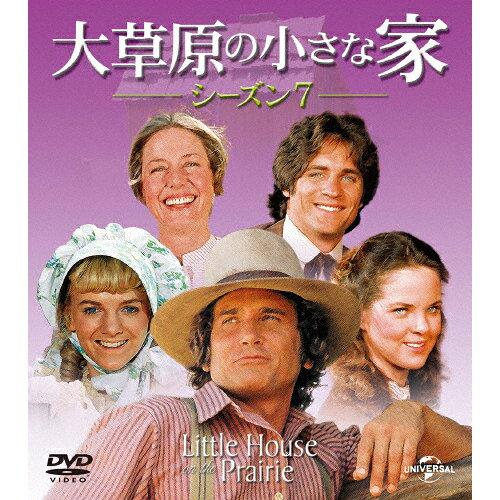 _C\EQm`CTiCGV[Y 呐̏ȉ V[Y7 o[pbN yDVDz