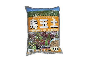 ԋʓy 嗱 3L