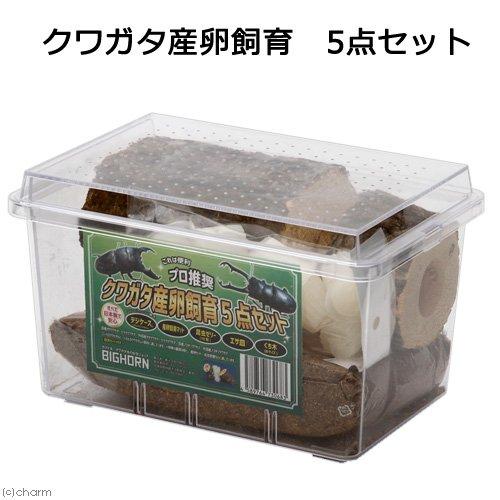 ECJOY!】 マルカン プラケース いきものたちの楽園 特大 1個入
