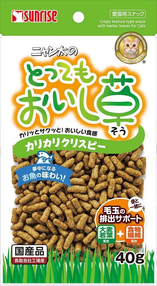 ƂĂJJNXs[40g