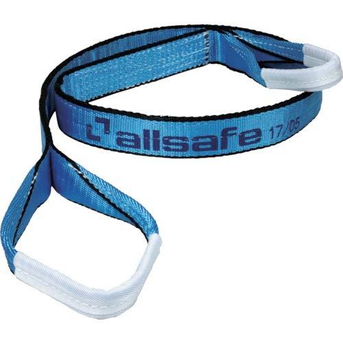 allsafe I[Z[tXOxg3E25x1.5m XJCu[