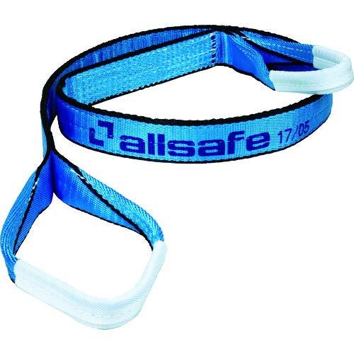 allsafe I[Z[tXOxg3E50x4.5m XJCu[