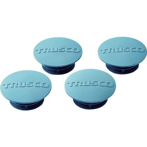 TRUSCO PER^xLbv 31.8p  4