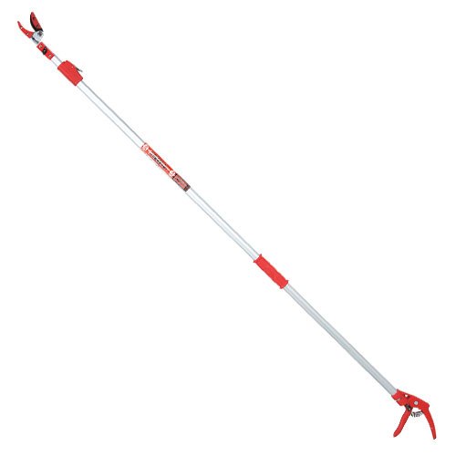 E-Value@Lk}(t) EGLP-1 1