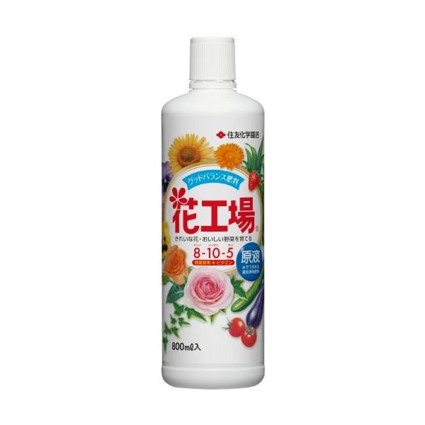 ԍHꌴt 800ml ZFw|