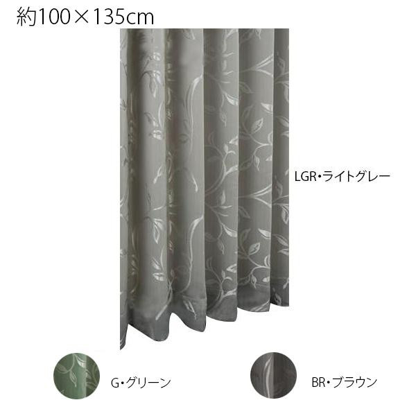 쓇DZR AbZ 1.5{`Ԉv[c h[vJ[e 1 100~135cm DF1137S BREuE (1428517)
