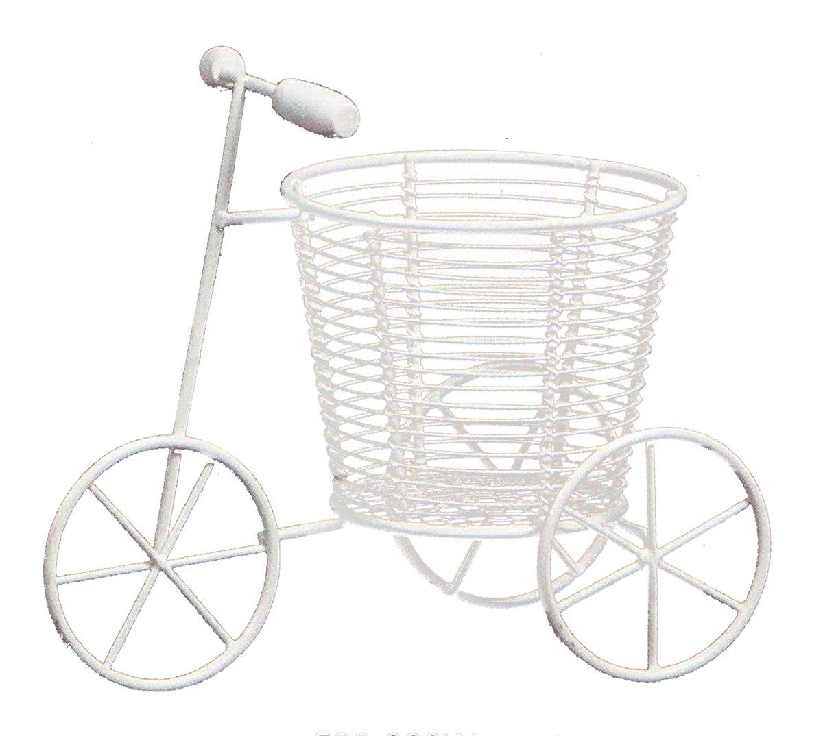 C[ O֎L oXPbgt zCg 520-008W (1434478)