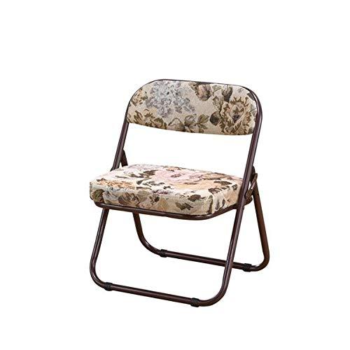 yĐ܂肽߂鍂֎q@CF-4254 BR@FFBR