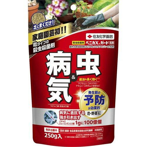 xjJXK[h 250g