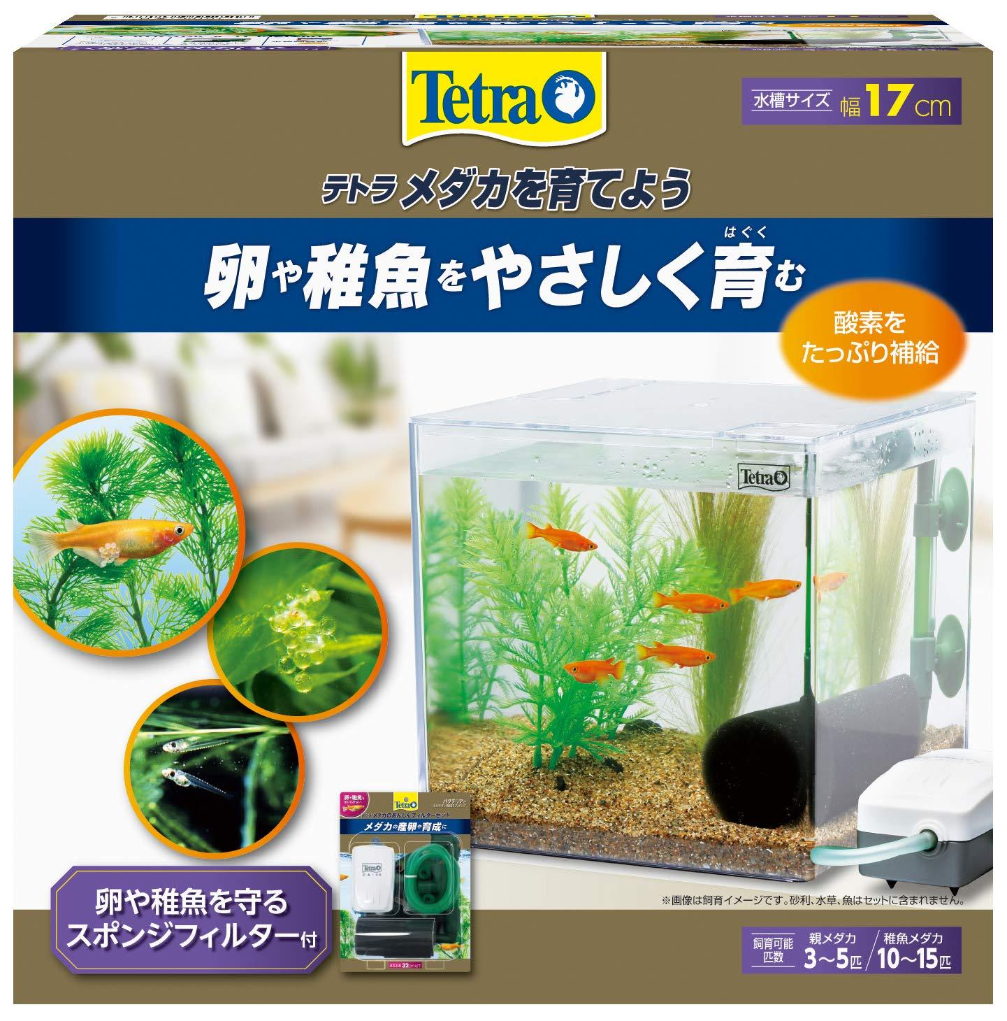 テトラ Tetra ミニアクアリウム金魚飼育pl 17gf Shopashito